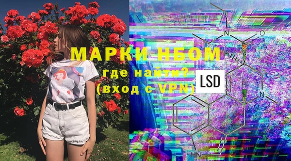 Альфа ПВП Няндома