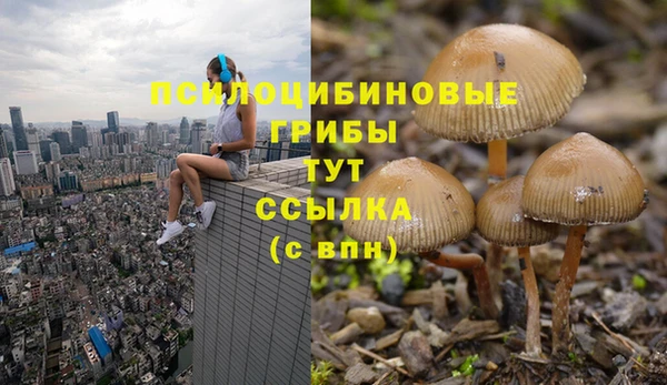 ECSTASY Нягань