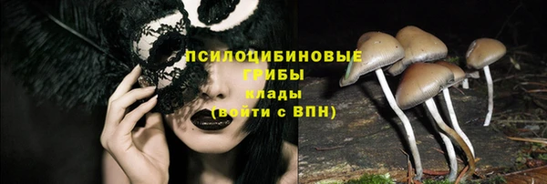 ECSTASY Нягань