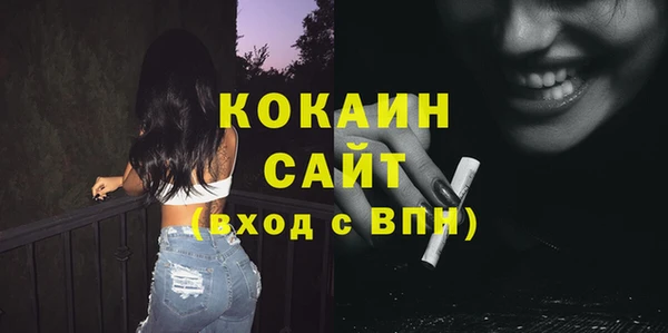 Альфа ПВП Няндома