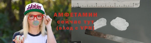 Альфа ПВП Няндома