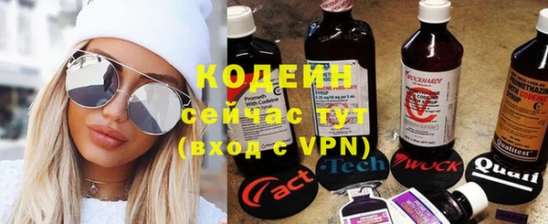 прущие грибы Новодвинск