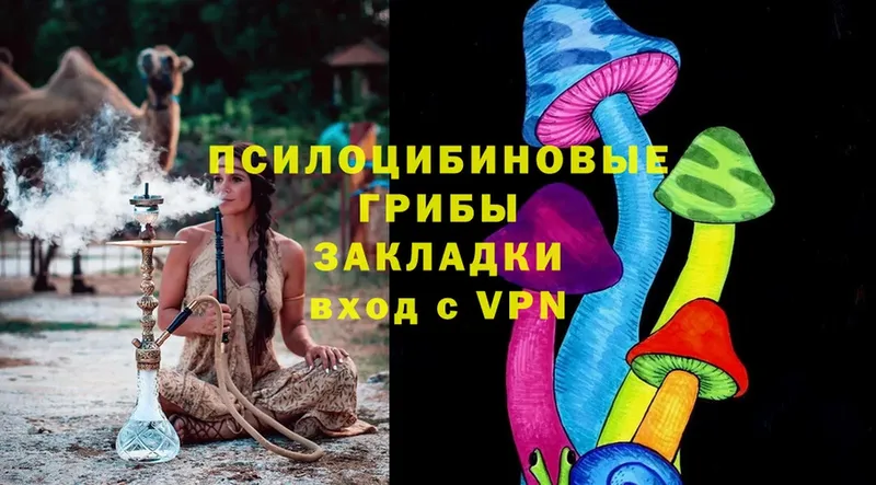 купить закладку  Ноябрьск  MEGA зеркало  Псилоцибиновые грибы MAGIC MUSHROOMS 