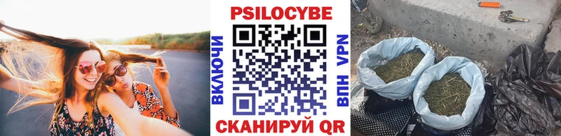 маркетплейс телеграм  Ноябрьск  Псилоцибиновые грибы прущие грибы 