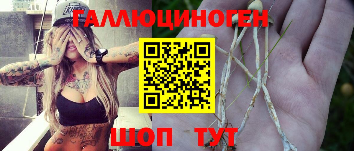 Псилоцибиновые грибы мухоморы Ноябрьск